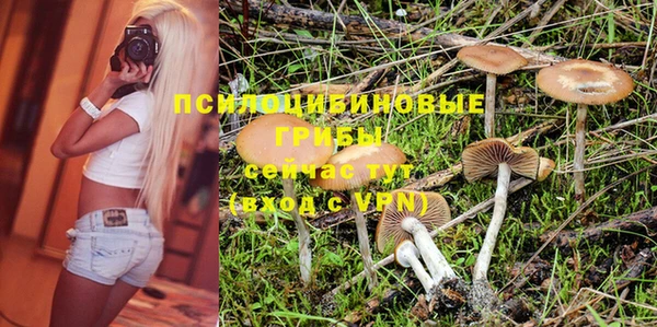 ALPHA PVP Володарск