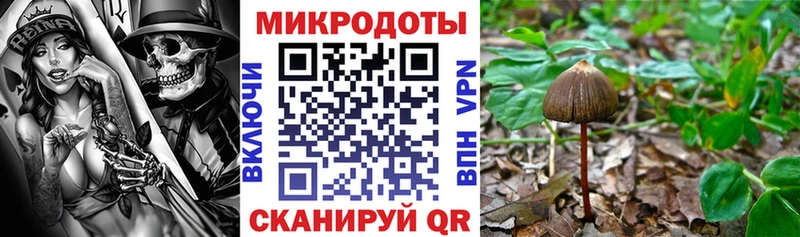 Галлюциногенные грибы MAGIC MUSHROOMS  Благовещенск 